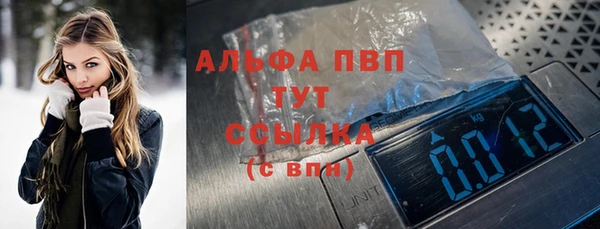 прущий лед Абаза