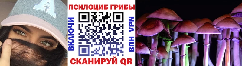 купить   Тихорецк  площадка формула  Псилоцибиновые грибы мухоморы 