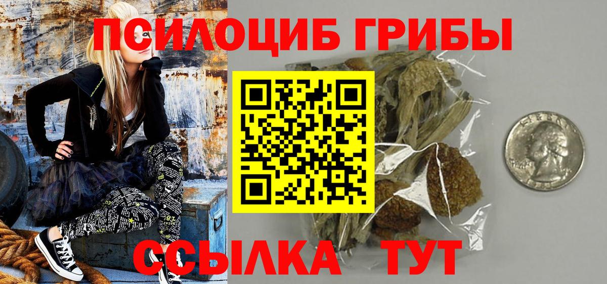 Галлюциногенные грибы прущие грибы  Вход с VPN  Тихорецк  Псилоцибиновые грибы мицелий 