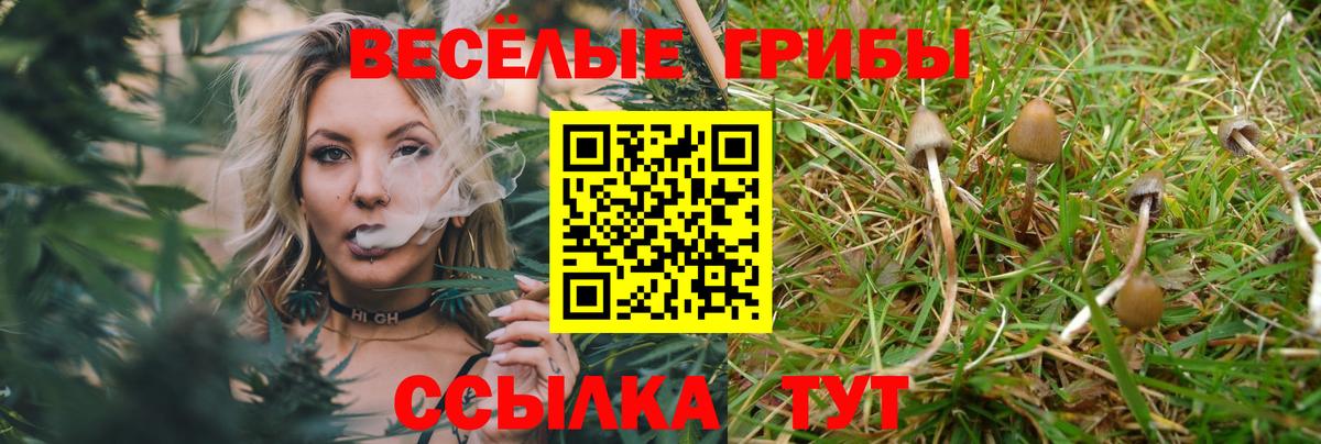 Псилоцибиновые грибы Cubensis Тихорецк